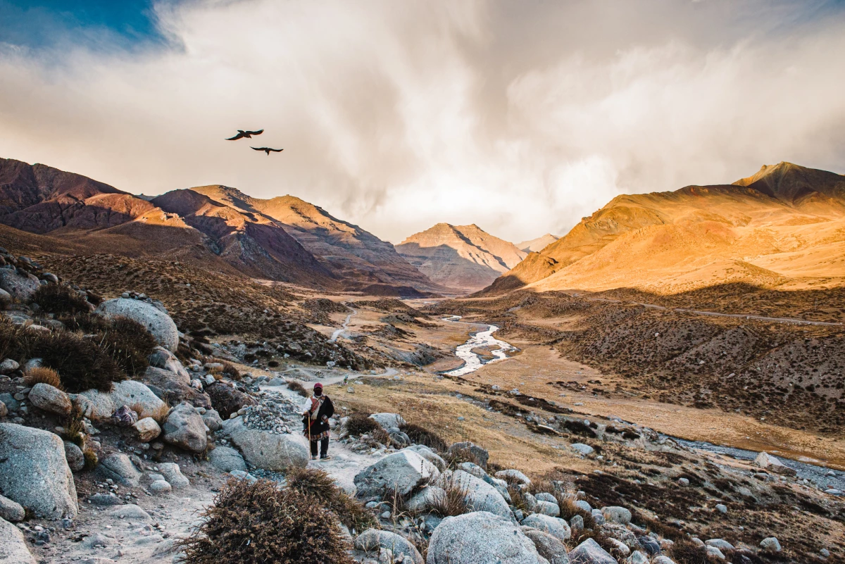 Matt Roberts Photography