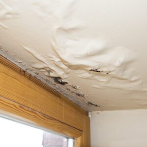 water damage restoration company